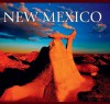 New Mexico - Tanya Lloyd Kyi