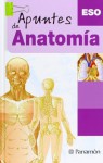 Apuntes De Anatomia/ Anatomy Notes (Spanish Edition) - Parramon