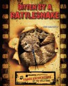 Bitten by a Rattlesnake - Sue L. Hamilton