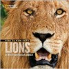 Face to Face with Lions - Dereck Joubert