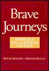 Brave Journeys: Profiles in Gay and Lesbian Courage - David Mixner