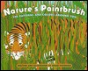 Nature's Paintbrush: The Patterns and Colors Around You - Susan Stockdale