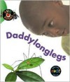 Daddylonglegs (Bug Books) - Catherine Anderson