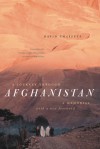 A Journey through Afghanistan - David Chaffetz, Willard Wood