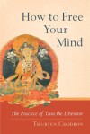 Tara the Liberator: How to Free Your Mind - Thubten Chodron