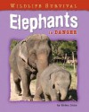 Elephants in Danger - Helen Orme