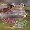 Tadpole to Frog - Camilla De la Bédoyère