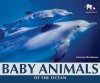 Baby Animals of the Ocean - Carmen Bredeson