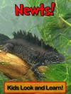 Newts! Learn About Newts and Enjoy Colorful Pictures - Look and Learn! (50+ Photos of Newts) - Becky Wolff