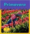 Primavera / Spring (Heinemann Lee Y Aprende/Heinemann Read and Learn (Spanish)) - Patricia Whitehouse, Patricia Cano