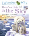 I Wonder Why There's a Hole in the Sky: and Other Questions About the Environment - Sean Callery