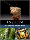 Insects! Vampire and Cannibal Bugs (Explore Series Books for Kids) - Explore Series