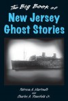 Big Book of New Jersey Ghost Stories, The (Big Book of Ghost Stories) - Patricia A. Martinelli, Charles A. Stansfield Jr.