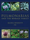 Pulmonarias And The Borage Family - Masha Bennett