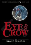 Eye Of The Crow - Shane Peacock