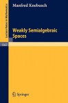 Weakly Semialgebraic Spaces - Manfred Knebusch