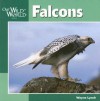 Falcons (Our Wild World) - Wayne Lynch, Sherry Neidigh