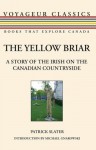 The Yellow Briar: A Story of the Irish on the Canadian Countryside - Patrick Slater, Michael Gnarowski