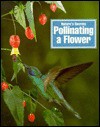 Pollinating a Flower - Paul Bennett