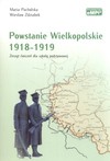 Powstanie Wielkopolskie 1918-1919. Zeszyt ćwiczeń dla szkoły podstawowej - Maria Pacholska, Wiesław Zdziabek