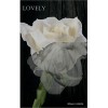 Lovely - Allison Liddelle