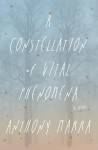 A Constellation of Vital Phenomena - Anthony Marra