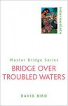 Bridge Over Troubled Waters - David Bird