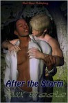 After the Storm - Jaxx Steele