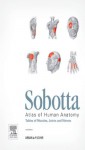 Sobotta Tables of Muscles, Joints and Nerves English/Latin: Tables to 15th ed. of the Sobotta Atlas - Friedrich Paulsen, Jens Waschke