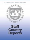 Former Yugoslav Republic of Macedonia: Technical Assistance Evaluation Report - International Monetary Fund