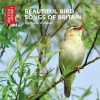 Beautiful Bird Songs of Britain: The Music of Nature - The British Library