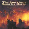 The American Quarter Horse - Becky Prunty, David R. Stoecklein