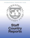 Maldives: Report on Observance of Standards and Codes - Fatf Recommendations for Anti-Money Laundering and Combating the Financing of Terrorism - International Monetary Fund