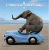 A Twinkle in Your Wrinkle - Bob Elsdale