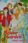 Meteor Garden - Yoko Kamio, 神尾葉子