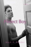 The Perfect Boy (Gay Youth Chronicles) - Mark A. Roeder