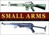 Small Arms From the Civil War to the Present Day - Martin J. Dougherty