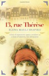 13 Rue Thérèse - Elena Mauli Shapiro