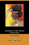 Adventures in New Guinea (Illustrated Edition) (Dodo Press) - James Chalmers