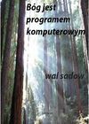 Bóg jest programem komputerowym - Wal Sadow