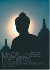 Mindfulness, Precepts and Crashing in the Same Car - Ajahn Jayasaro