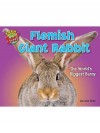 Flemish Giant Rabbit: The World's Biggest Bunny - Leon Gray