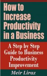 How to Increase Productivity in a Business - A Step by Step Guide to Business Productivity Improvement - Meir Liraz