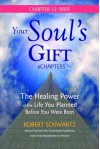 Your Soul's Gift eChapters - Chapter 12: Rape: The Healing Power of the Life You Planned Before You Were Born - Robert Schwartz