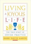 Living a Joyous Life: The True Spirit of Jewish Practice - David Aaron