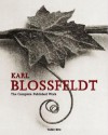 Karl Blossfeldt - Karl Blossfeldt, Hans Christian Adam