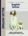 English Setter (Pet Love) - Juliette Cunliffe