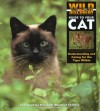 Wild Discovery Guide to Your Cat - Elizabeth Marshall Thomas