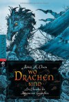 Die Chroniken der Imaginarium Geographica - - Wo Drachen sind - James A. Owen, James A. Owen, Michaela Link