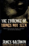 The Evidence of Things Not Seen: Reissued Edition - James Baldwin